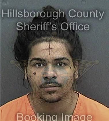 Giovani Dinard, - Hillsborough County, FL 