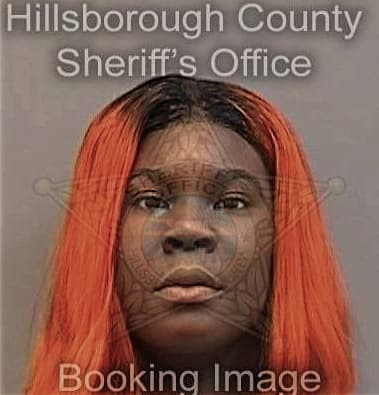 Lanetra Herring - Hillsborough County, FL 
