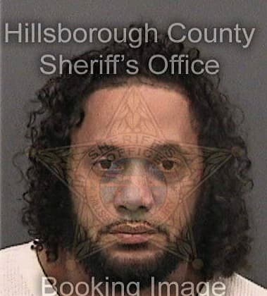 Ricardo Kelly, - Hillsborough County, FL 