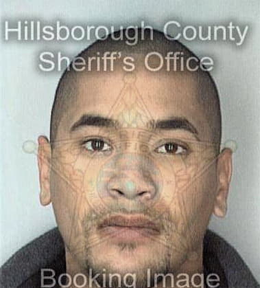 Juan Llamasflores, - Hillsborough County, FL 