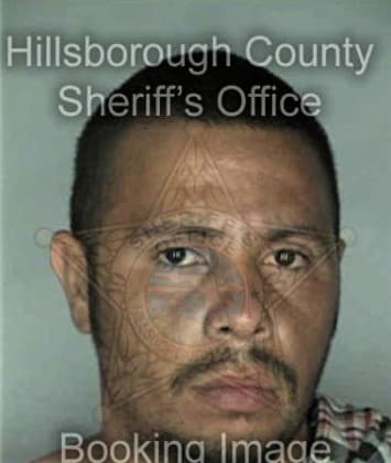 William McClanahan - Hillsborough County, FL 