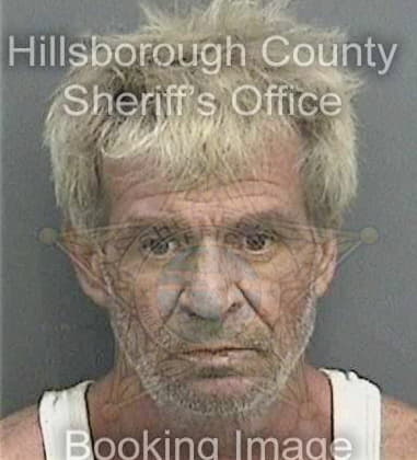 Emiliano Paredesdelossantos, - Hillsborough County, FL 