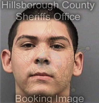 David Dennis, - Hillsborough County, FL 