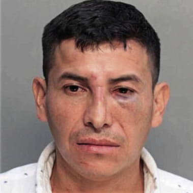 Efrain Llenderrozos - Dade County, FL 