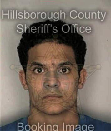 Ronnie McElroy - Hillsborough County, FL 