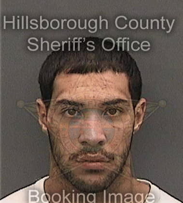 Raul Monteagudopratts, - Hillsborough County, FL 