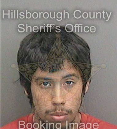 Martin Tejada, - Hillsborough County, FL 