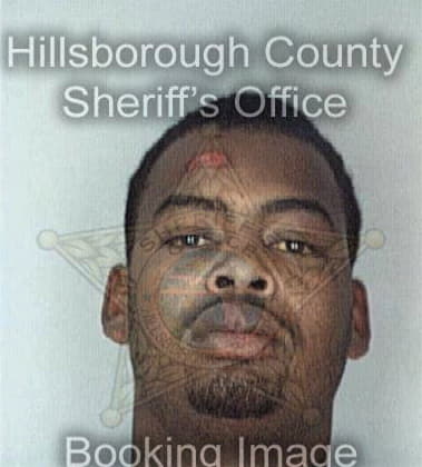 Ned Chisolm - Hillsborough County, FL 