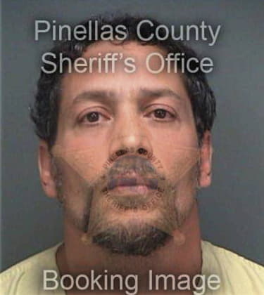 Christopher Marotta, - Pinellas County, FL 