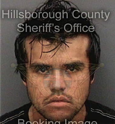 Osmin Zelaya, - Hillsborough County, FL 