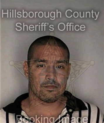 Randall Bevins - Hillsborough County, FL 