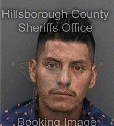 Michael Elson, - Hillsborough County, FL 