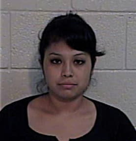 Elizabeth Guerra, - Hidalgo County, TX 