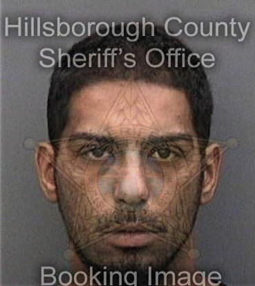 Nicholas Johnson, - Hillsborough County, FL 