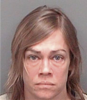 Jennifer Mattison - Pinellas County, FL 