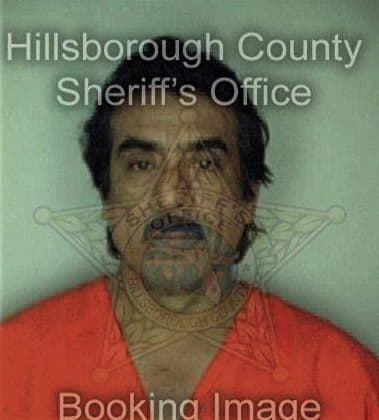 Larry McIntosh - Hillsborough County, FL 