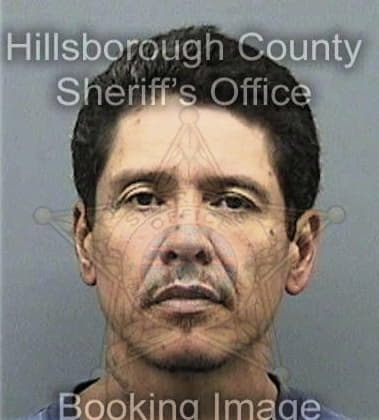 Daniel Oleary, - Hillsborough County, FL 