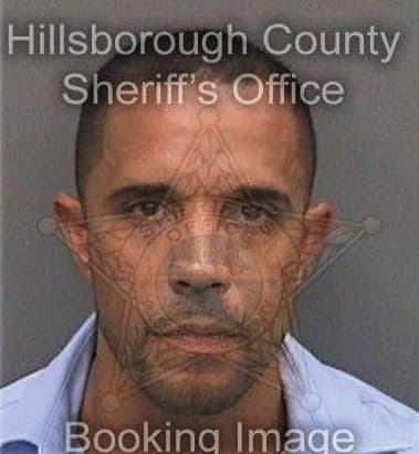 Axel Perezrodriguez, - Hillsborough County, FL 