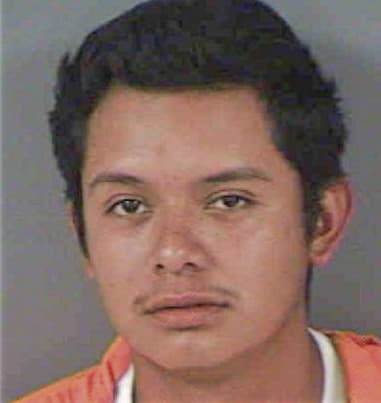 Roberto Alfonsoamezaga, - Collier County, FL 