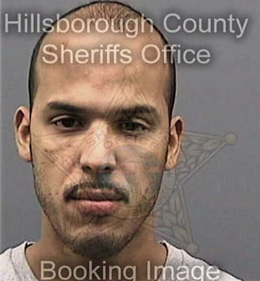 William Blake - Hillsborough County, FL 