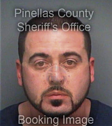 David Cavalluzzi, - Pinellas County, FL 