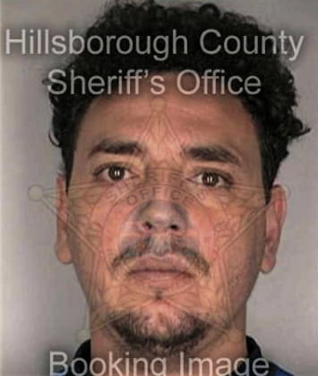 Hermes Garcia, - Hillsborough County, FL 