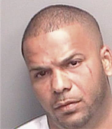 Jose Garcia, - Pinellas County, FL 