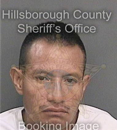 Michael Locke, - Hillsborough County, FL 