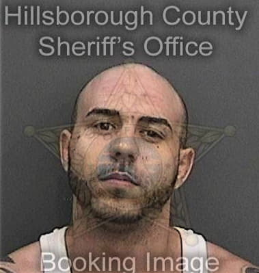 Michael Macleod, - Hillsborough County, FL 