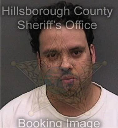 Gabriel Pena, - Hillsborough County, FL 