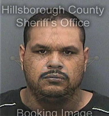 Joseph Remeika, - Hillsborough County, FL 