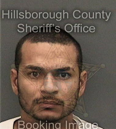 Jeffrey Showen, - Hillsborough County, FL 