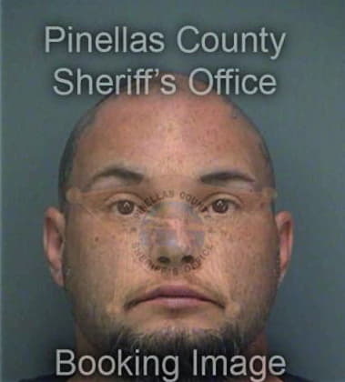 Orest Soltiwsky - Pinellas County, FL 