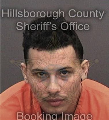 Mohamad Altabakh, - Hillsborough County, FL 