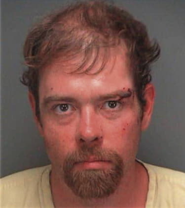 Alan Neiswonger, - Pinellas County, FL 