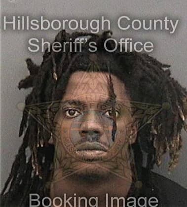 Damion Young, - Hillsborough County, FL 