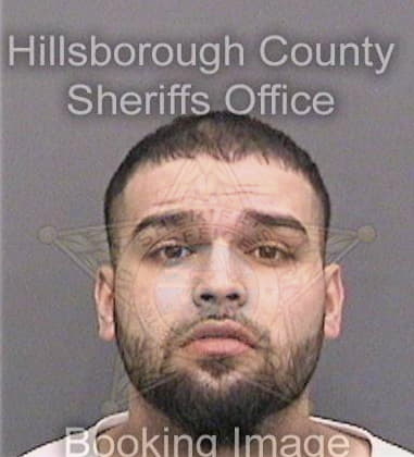 Joshua Carlisle, - Hillsborough County, FL 