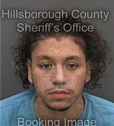 Cesar Cruz-Santana, - Hillsborough County, FL 