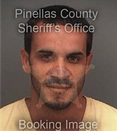 Roberto Delerme, - Pinellas County, FL 