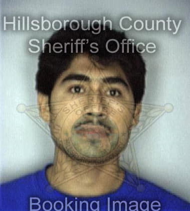 Fernando Fernandez, - Hillsborough County, FL 