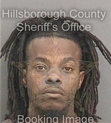 Damion Hunt, - Hillsborough County, FL 