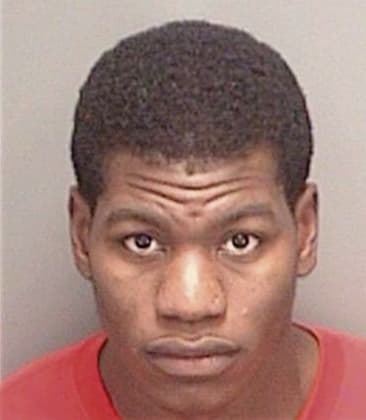 Derrick Lee, - Pinellas County, FL 