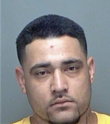 Timothy McGurk - Pinellas County, FL 