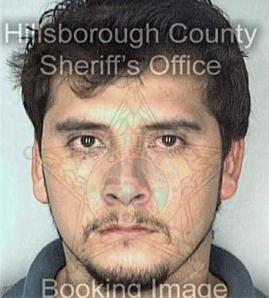 Billy Miller - Hillsborough County, FL 