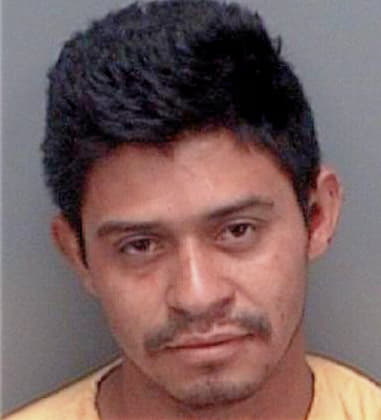 Raul Rodriquez, - Pinellas County, FL 