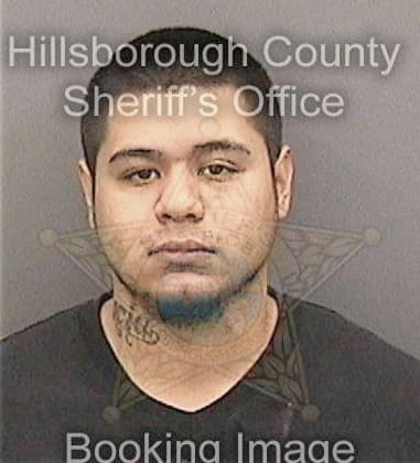 David Rothrock, - Hillsborough County, FL 