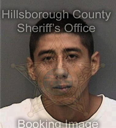 Joshua Wilkins - Hillsborough County, FL 