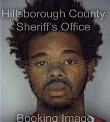 Alfonso Ammons, - Hillsborough County, FL 