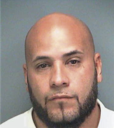 Manuel Castrobarron, - Pinellas County, FL 