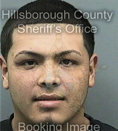 Jose Garciajimenez, - Hillsborough County, FL 